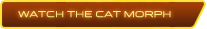 Watch The Cat Morph
