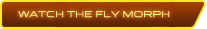 Watch The fly Morph