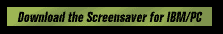 Screensaver for IBM/PC