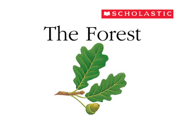 Scholastic First Discovery: The Forest App
