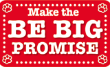 Make the BE BIG Promise
