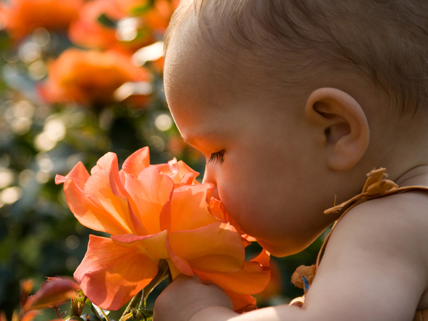 Activities that Explore Smell for 0-2 Year Olds | Scholastic | Parents