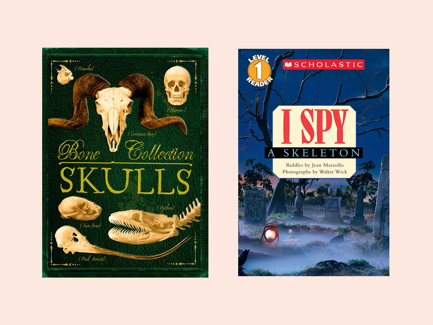 10 SkeletonThemed Stories for Every Age
