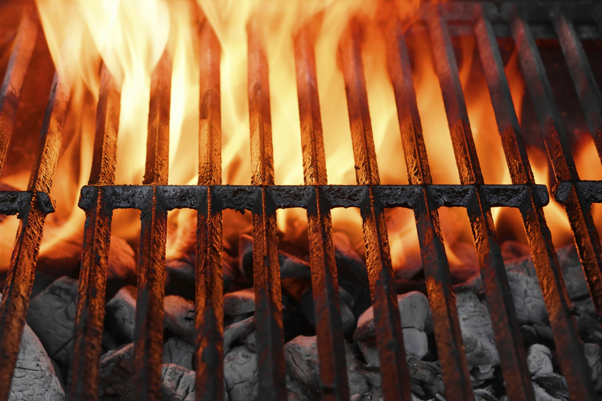 Fire Up the Grill | Scholastic | Parents