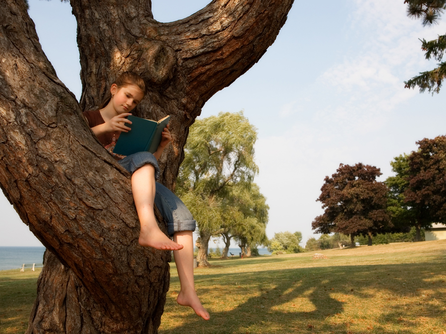 Perspective Book Picks For Middle Schoolers Scholastic Parents