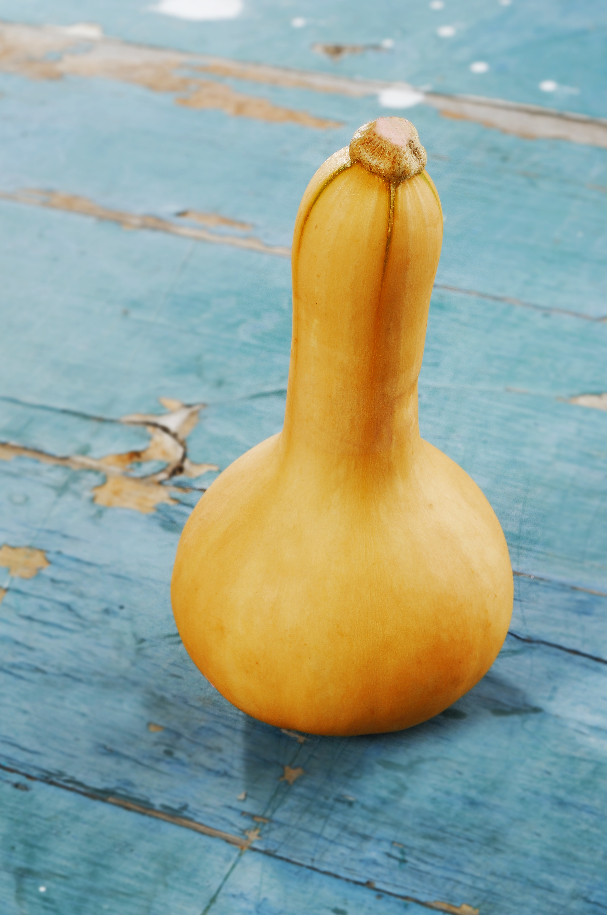 Butternut Squash Recipes 9 KidFriendly Ideas