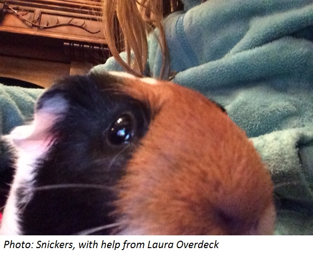 This Week From Bedtime Math Sense of Selfie Scholastic Parents