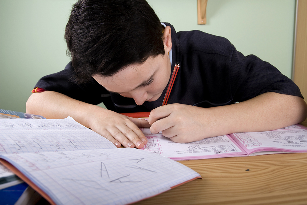 Homework tips for students image