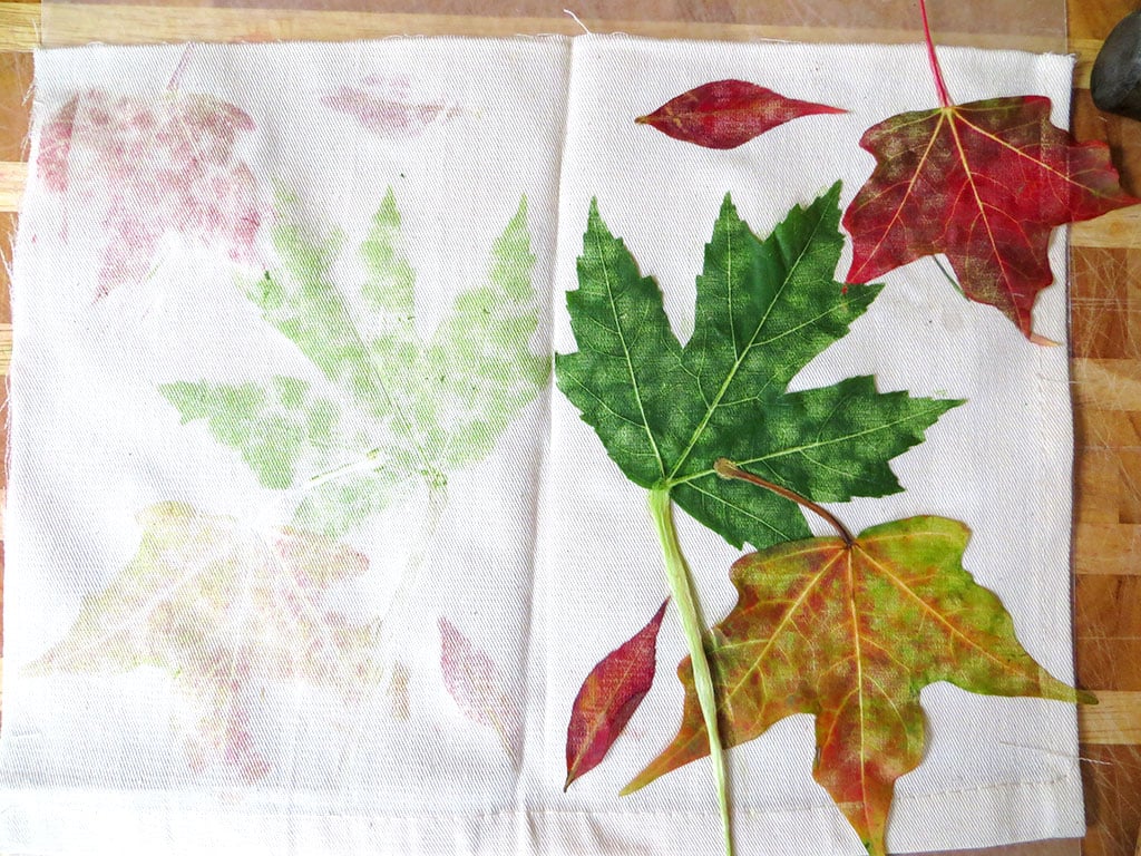 Get Crafty With Fall Leaf Prints