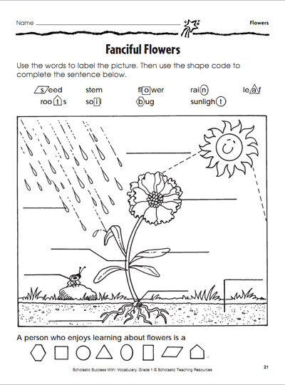 Fanciful Flowers: Activity Page (Flower Labeling) | Scholastic | Parents