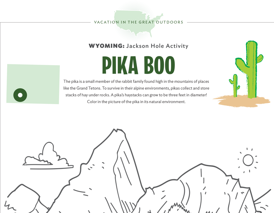 Jackson Hole Activity Sheet Worksheets & Printables