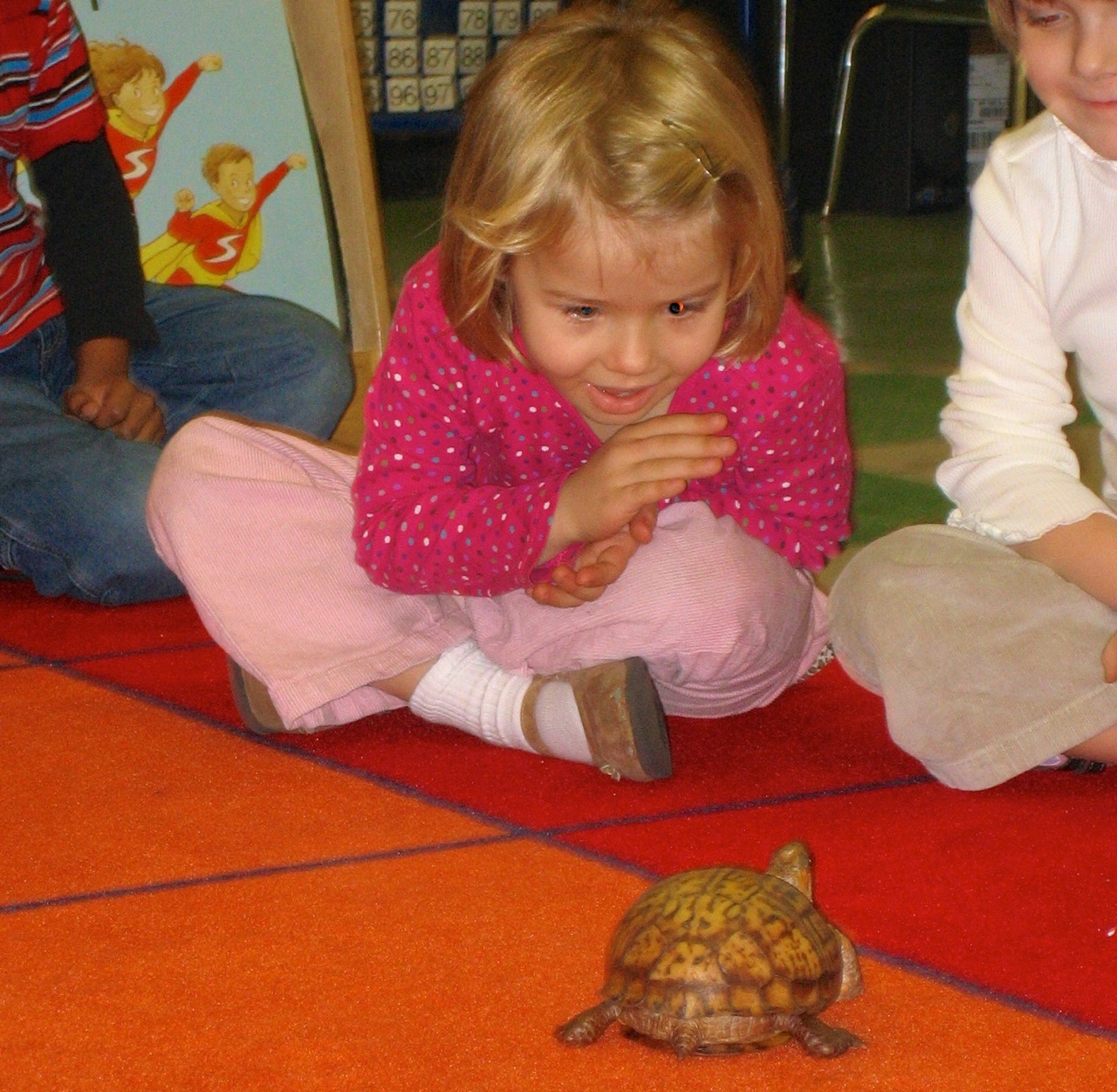 Welcoming A Class Pet A Living Mascot Scholastic welcoming-a-class-pet-a-living-mascot-scholastic