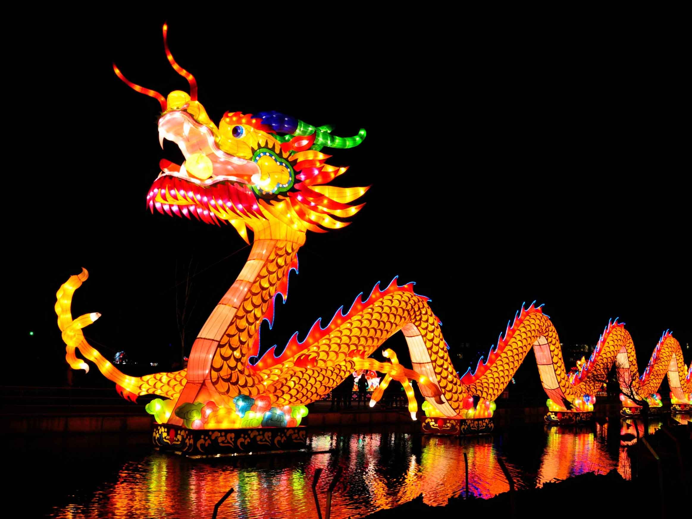 dragon chinese new year google meet background