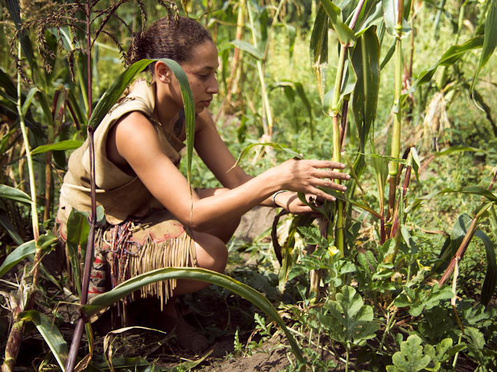 Pilgrim and Wampanoag Daily Life for Grades 68 Scholastic