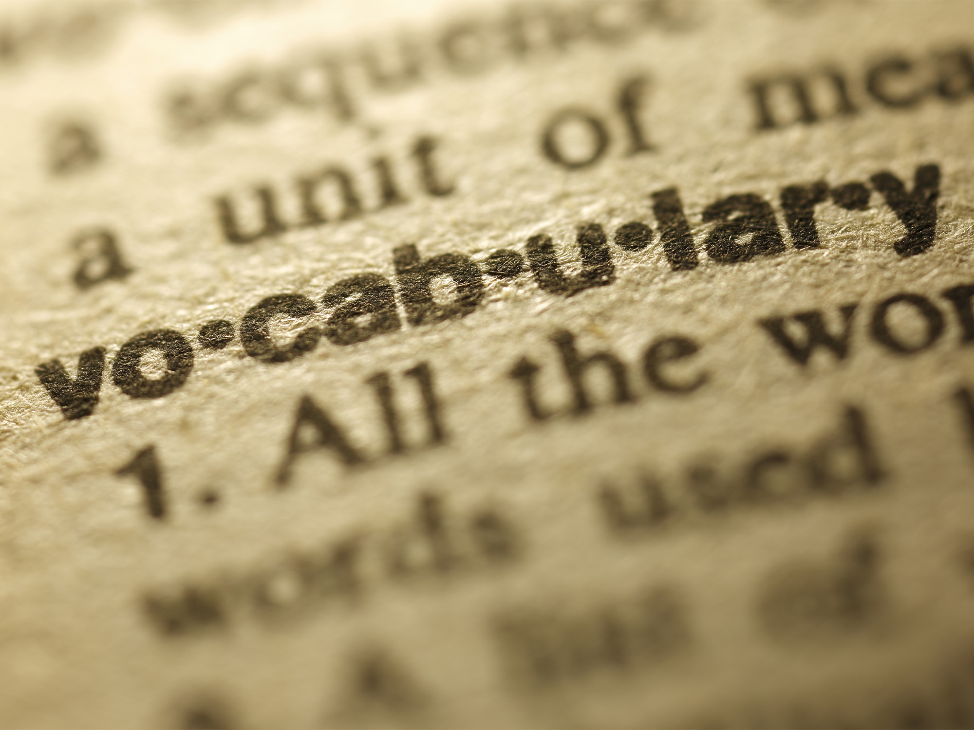 Learning Vocabulary Through Bingo Lingo Scholastic