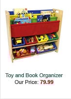Toy and Book Organizer