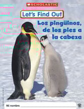 Let's Find Out Spanish