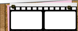 VIDEO HUB