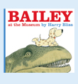 Bailey book cover