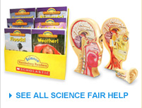 See All Science Fair Help