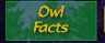 Owl Facts