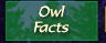 Owl Facts