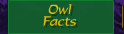 Owl Facts