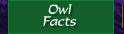 Owl Facts