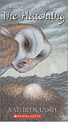 Owl Posters