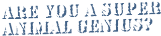 are you a super animal genius?