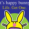 It's Happy Bunny
