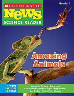 Scholastic News Grade 1 Online Resources 