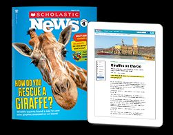 Current Topics/Social Studies