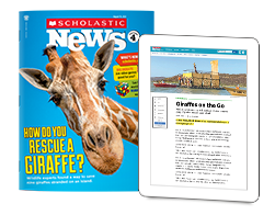 Current Topics/Social Studies