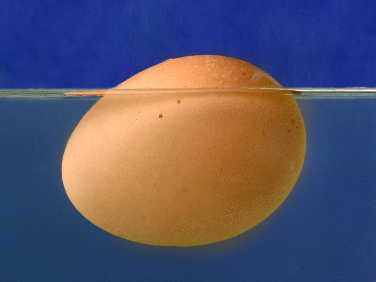 Un huevo flota en el agua