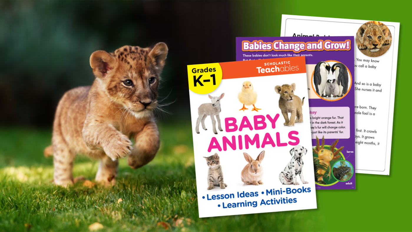 Baby Animal Lessons for You to Download and Use