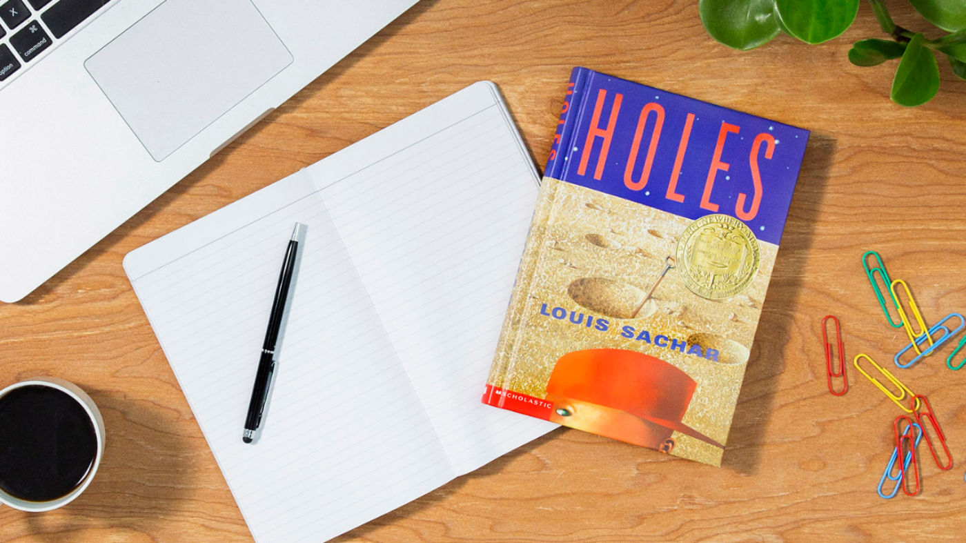 Holes (Holes Series)  Louis sachar, Grade book, Holes book