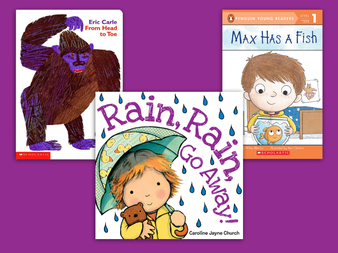 Guided Reading Level D Nonfiction Book List