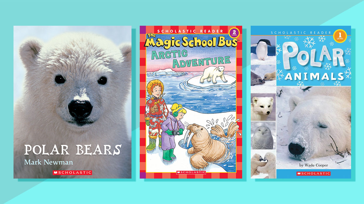 20 Books About Polar Bears And Arctic Animals