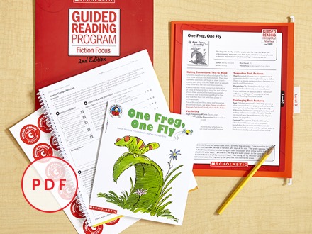 Guided Reading Fiction Focus Product 