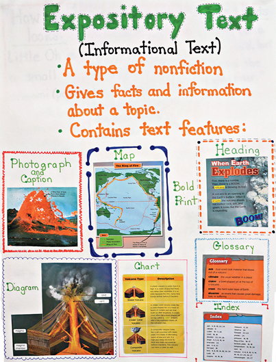 Informational Text Anchor Chart 2nd Grade
