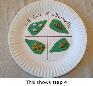 Butterfly Life Cycle Plate Craft | Scholastic