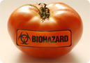 Biohazard Tomato -- Genetically Engineered Food