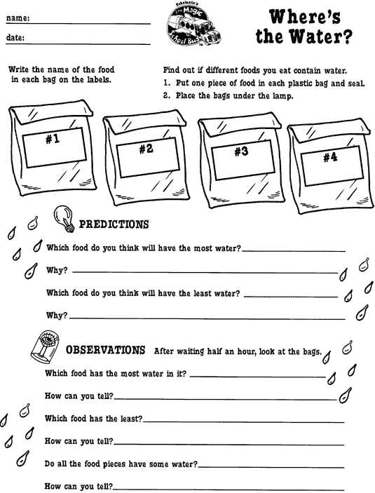 Where's The Water? printable activity sheet