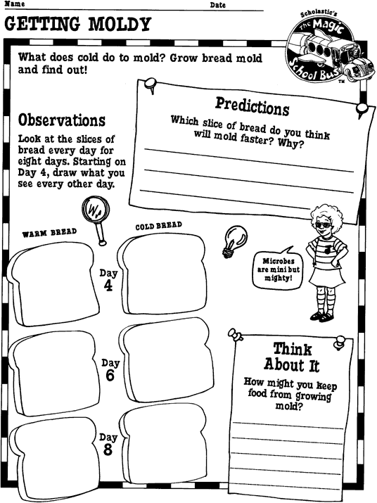 GETTING MOLDY printable activity sheet