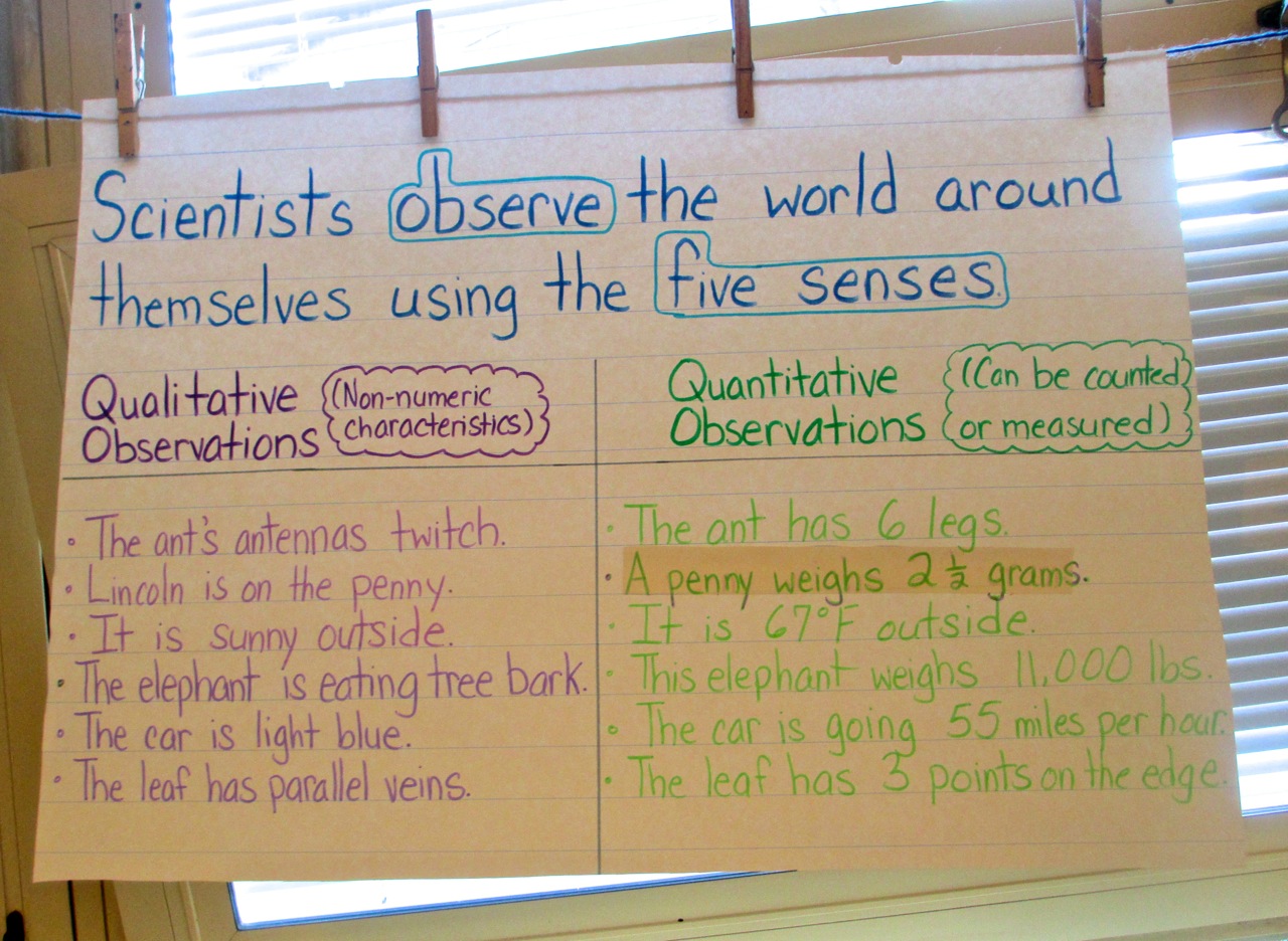 Mystery Bags To Develop Observation And Inference Skills Scholastic