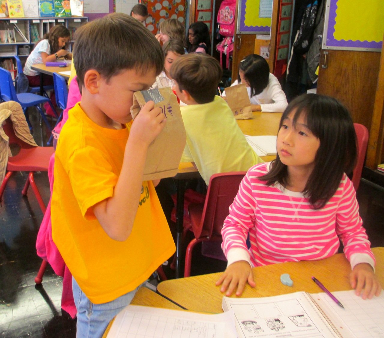 Mystery Bags to Develop Observation and Inference Skills Scholastic