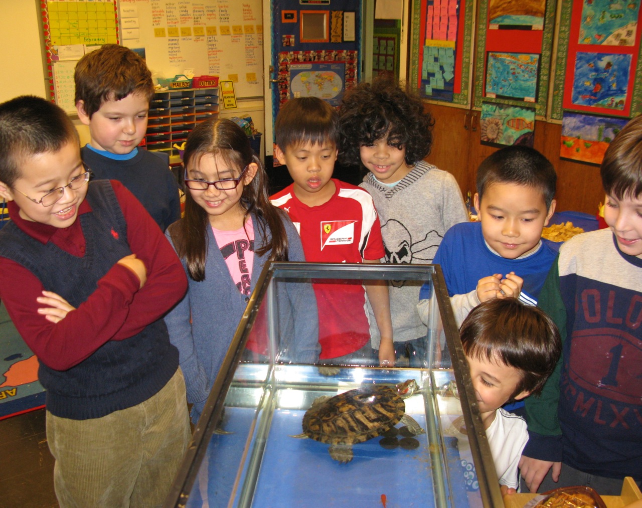 a Class Pet, a Living Mascot Scholastic