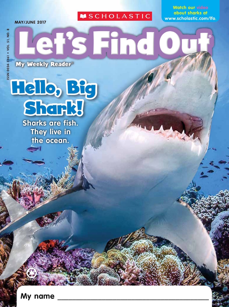 Shark Week FUN With Let s Find Out Scholastic
