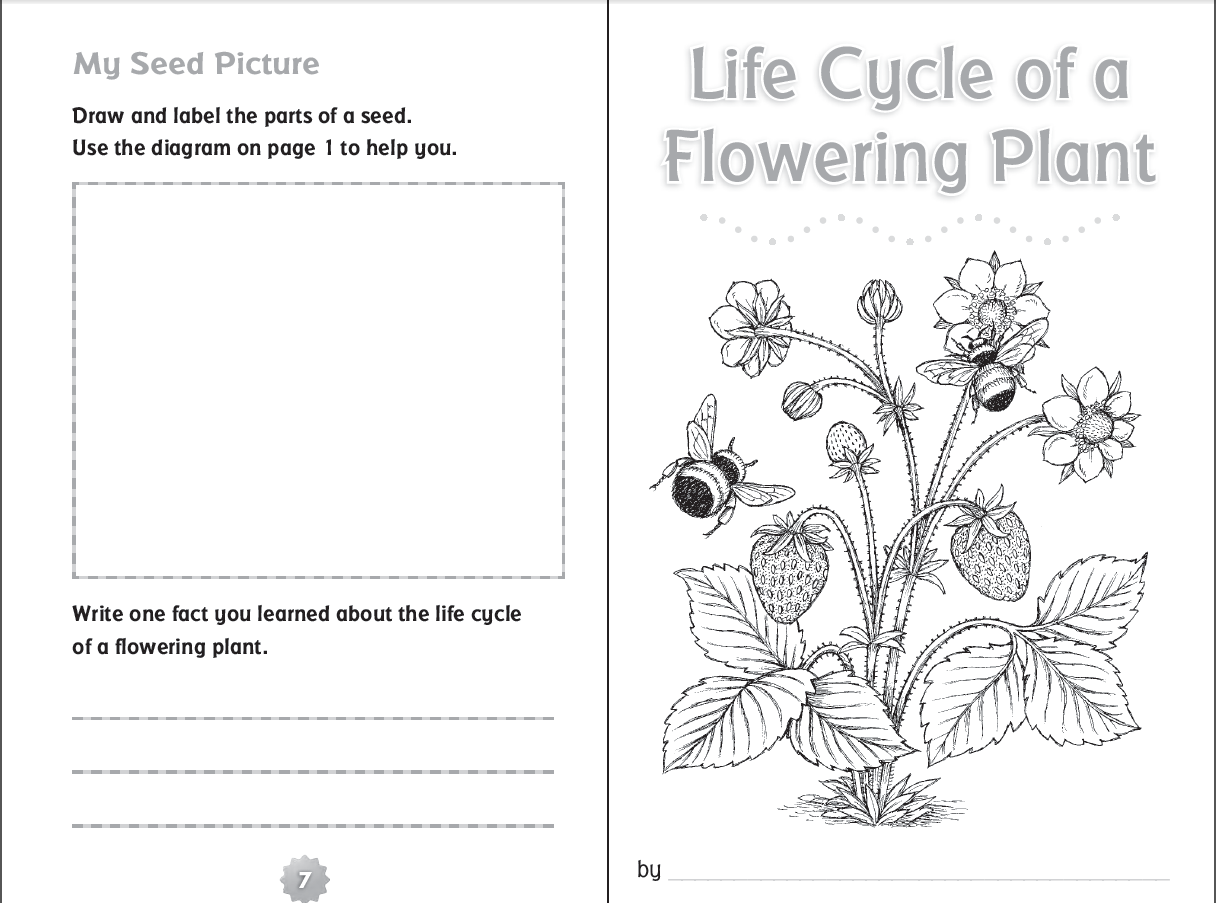 10 Ready-to-Go Resources for Teaching Life Cycles  Scholastic printable worksheets, worksheets, multiplication, education, and grade worksheets Scholastic Worksheet 903 x 1216